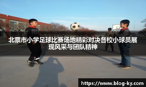开云体育入口