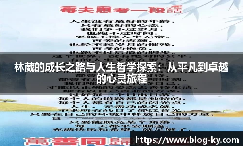 开云体育官网
