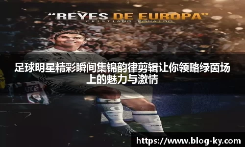 开云体育入口