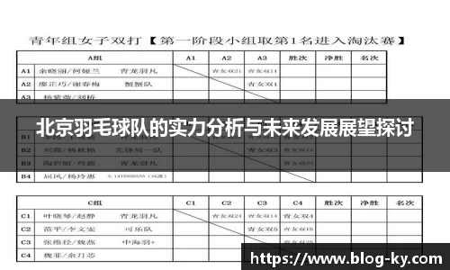 北京羽毛球队的实力分析与未来发展展望探讨