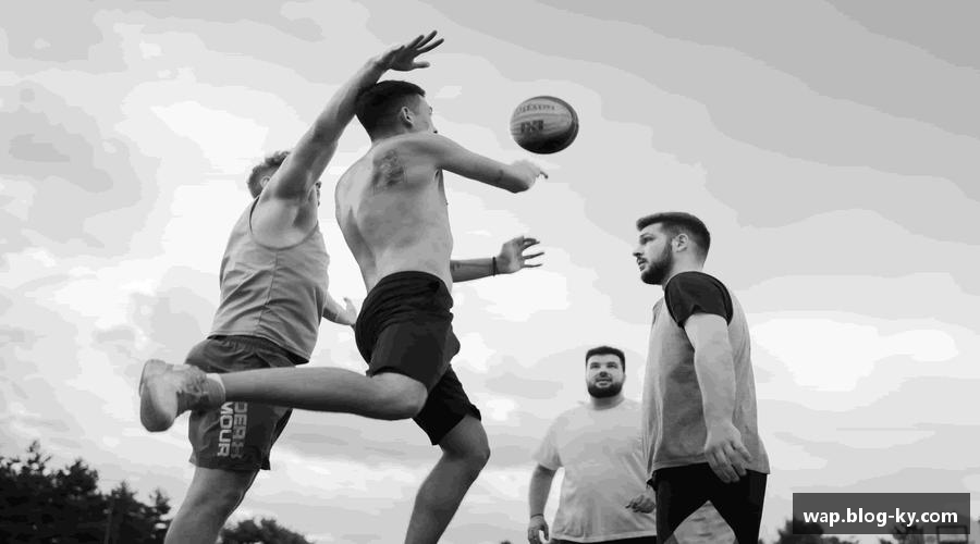 开云·体育(Kaiyun)官方网站_KAIYUN SPORTS